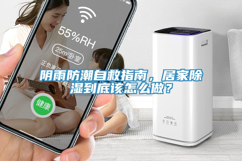 陰雨防潮自救指南，居家除濕到底該怎么做？