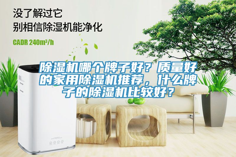 除濕機(jī)哪個(gè)牌子好？質(zhì)量好的家用除濕機(jī)推薦，什么牌子的除濕機(jī)比較好？