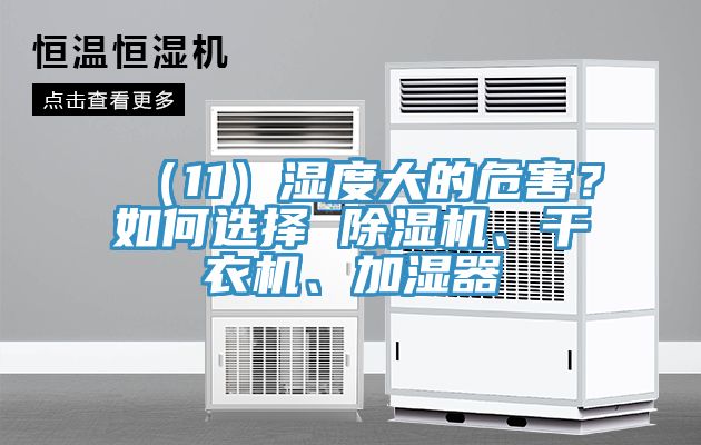 （11）濕度大的危害？如何選擇 除濕機(jī)、干衣機(jī)、加濕器