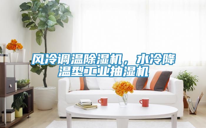 風(fēng)冷調(diào)溫除濕機(jī)，水冷降溫型工業(yè)抽濕機(jī)