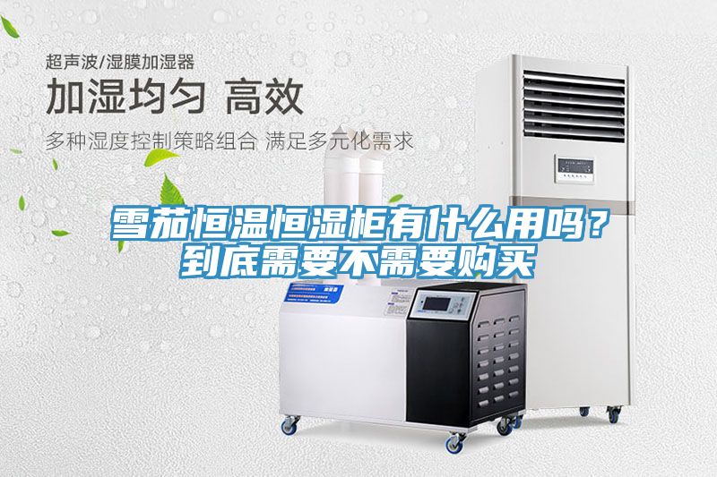 雪茄恒溫恒濕柜有什么用嗎？到底需要不需要購買