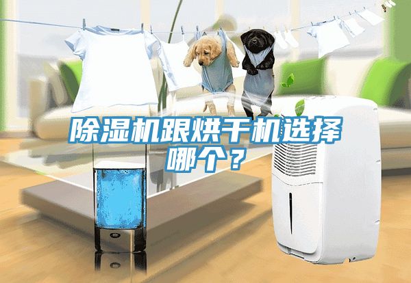 除濕機(jī)跟烘干機(jī)選擇哪個(gè)？