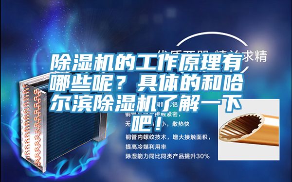 除濕機(jī)的工作原理有哪些呢？具體的和哈爾濱除濕機(jī)了解一下吧！