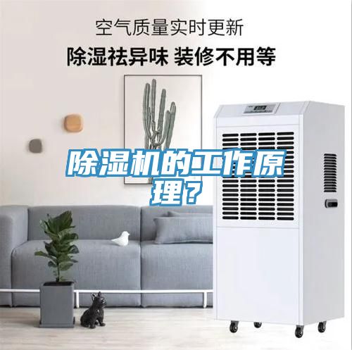 除濕機(jī)的工作原理？