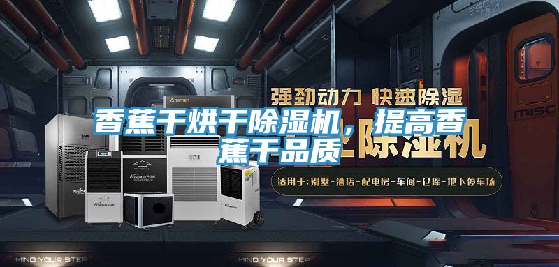 香蕉干烘干除濕機(jī)，提高香蕉干品質(zhì)