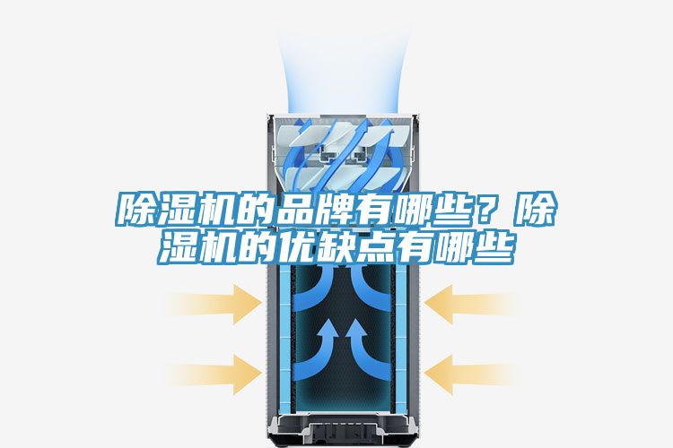 除濕機(jī)的品牌有哪些？除濕機(jī)的優(yōu)缺點(diǎn)有哪些