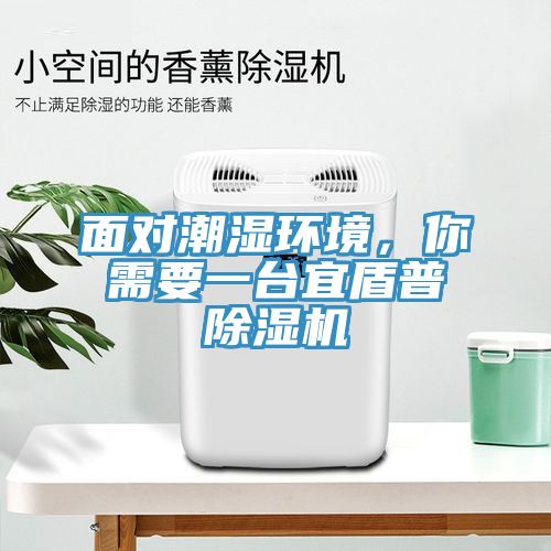 面對潮濕環(huán)境，你需要一臺宜盾普除濕機(jī)