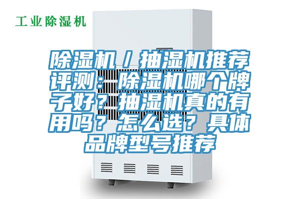 除濕機／抽濕機推薦評測：除濕機哪個牌子好？抽濕機真的有用嗎？怎么選？具體品牌型號推薦