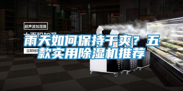 雨天如何保持干爽？五款實(shí)用除濕機(jī)推薦