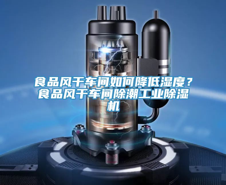 食品風(fēng)干車間如何降低濕度？食品風(fēng)干車間除潮工業(yè)除濕機(jī)