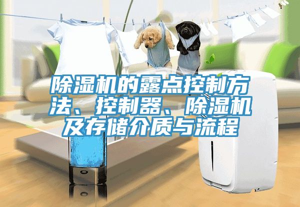 除濕機(jī)的露點(diǎn)控制方法、控制器、除濕機(jī)及存儲(chǔ)介質(zhì)與流程