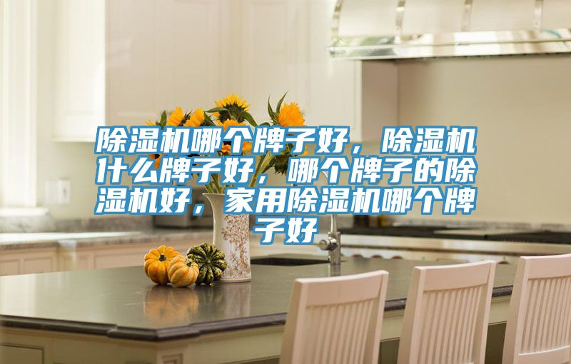 除濕機(jī)哪個(gè)牌子好，除濕機(jī)什么牌子好，哪個(gè)牌子的除濕機(jī)好，家用除濕機(jī)哪個(gè)牌子好