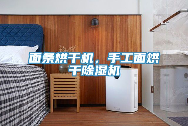 面條烘干機(jī)，手工面烘干除濕機(jī)
