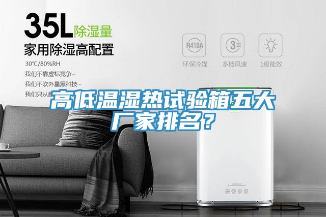 高低溫濕熱試驗(yàn)箱五大廠家排名？