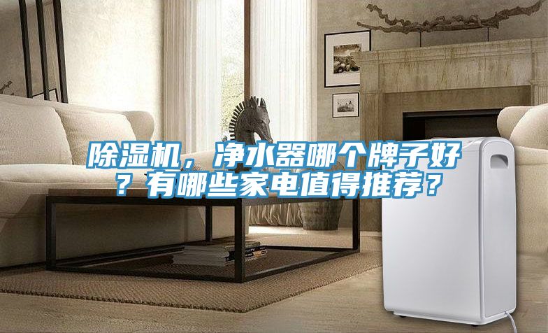 除濕機，凈水器哪個牌子好？有哪些家電值得推薦？