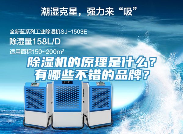 除濕機(jī)的原理是什么？有哪些不錯(cuò)的品牌？
