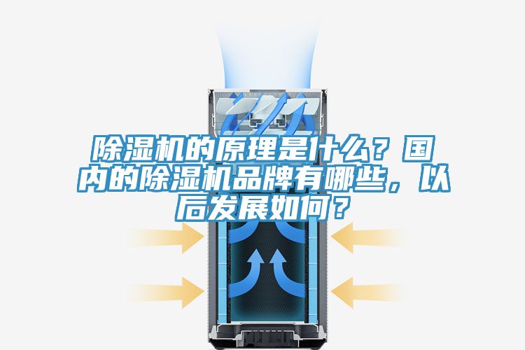 除濕機(jī)的原理是什么？國(guó)內(nèi)的除濕機(jī)品牌有哪些，以后發(fā)展如何？