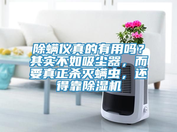 除螨儀真的有用嗎？其實(shí)不如吸塵器，而要真正殺滅螨蟲，還得靠除濕機(jī)