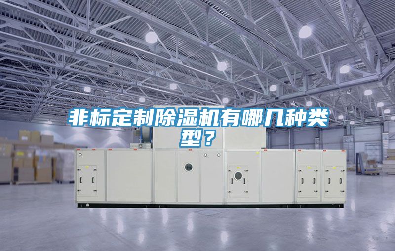 非標(biāo)定制除濕機(jī)有哪幾種類型？