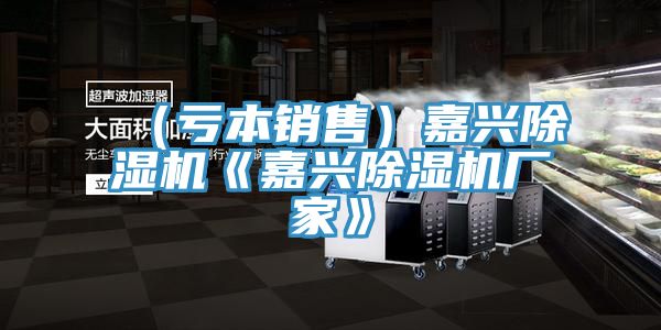 （虧本銷(xiāo)售）嘉興除濕機(jī)《嘉興除濕機(jī)廠(chǎng)家》