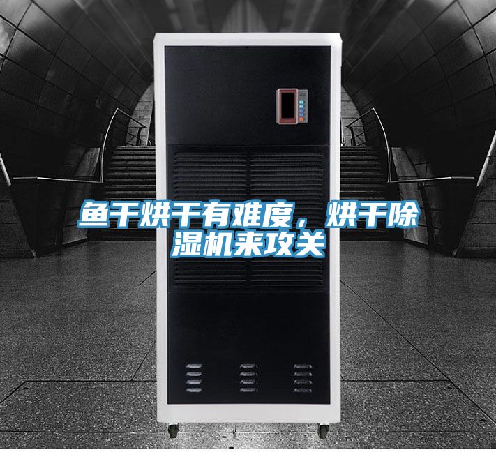 魚干烘干有難度，烘干除濕機來攻關(guān)