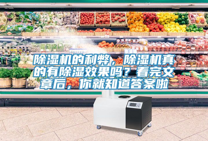除濕機(jī)的利弊，除濕機(jī)真的有除濕效果嗎？看完文章后，你就知道答案啦