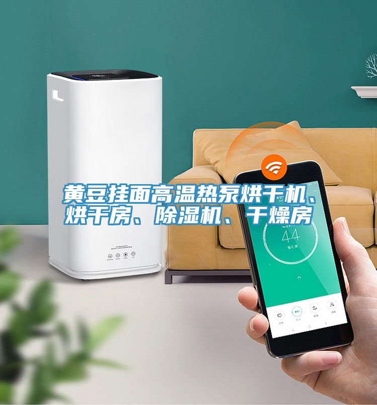黃豆掛面高溫熱泵烘干機、烘干房、除濕機、干燥房