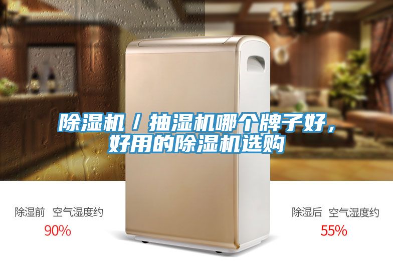 除濕機／抽濕機哪個牌子好，好用的除濕機選購