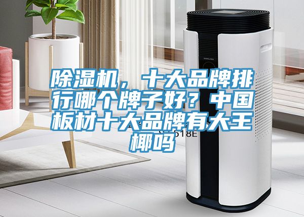 除濕機，十大品牌排行哪個牌子好？中國板材十大品牌有大王椰嗎