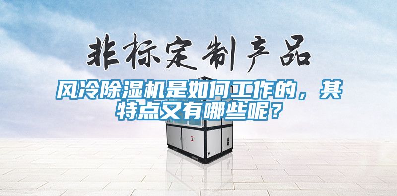 風(fēng)冷除濕機(jī)是如何工作的，其特點(diǎn)又有哪些呢？