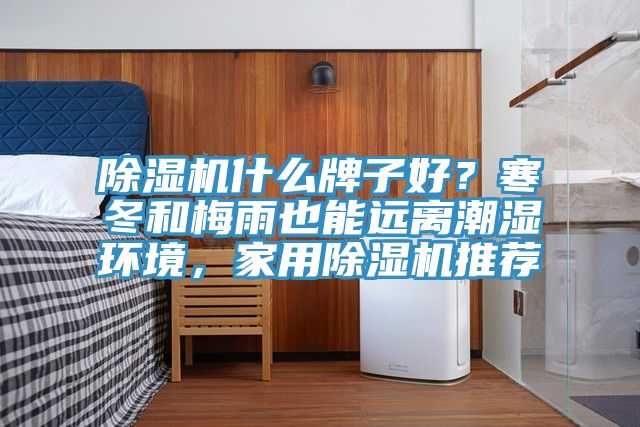 除濕機(jī)什么牌子好？寒冬和梅雨也能遠(yuǎn)離潮濕環(huán)境，家用除濕機(jī)推薦