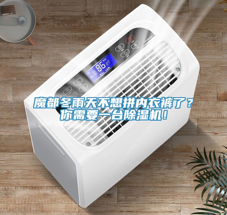魔都冬雨天不想拼內(nèi)衣褲了？你需要一臺除濕機！