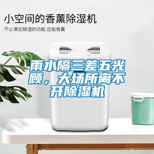 雨水隔三差五光顧，大場所離不開除濕機(jī)