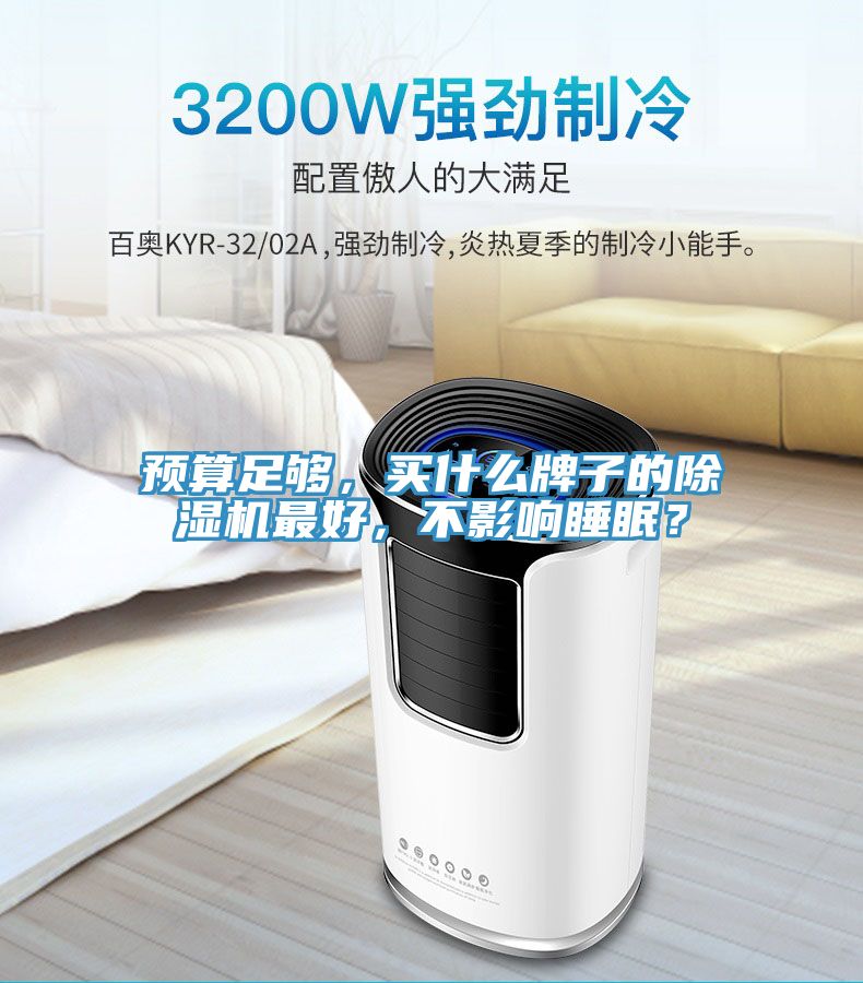 預(yù)算足夠，買什么牌子的除濕機最好，不影響睡眠？