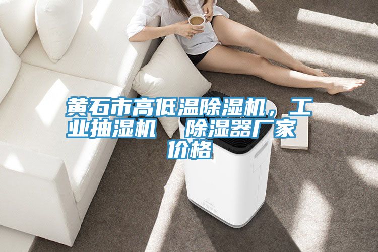 黃石市高低溫除濕機(jī)，工業(yè)抽濕機(jī)  除濕器廠家 價(jià)格