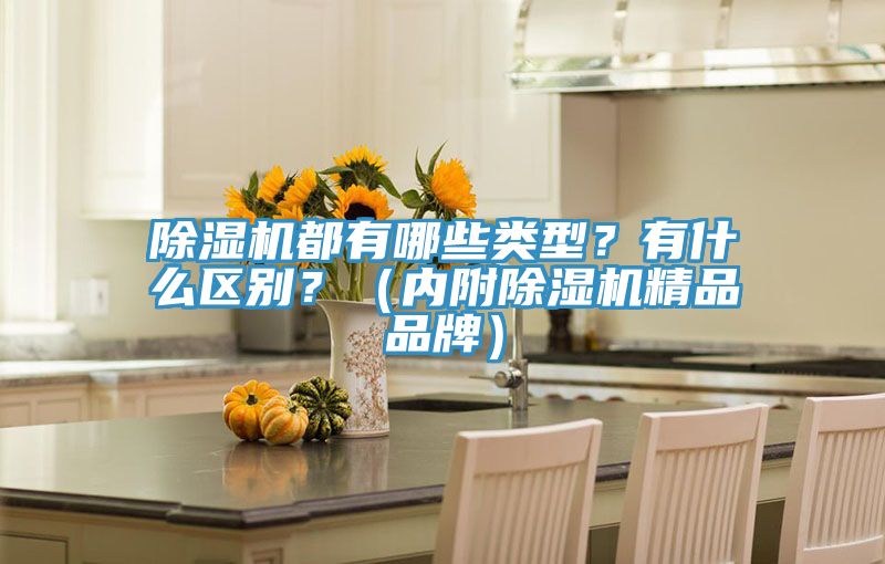 除濕機(jī)都有哪些類型？有什么區(qū)別？（內(nèi)附除濕機(jī)精品品牌）