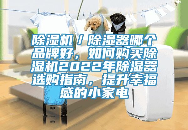 除濕機／除濕器哪個品牌好，如何購買除濕機2022年除濕器選購指南，提升幸福感的小家電