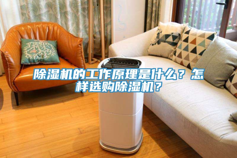 除濕機(jī)的工作原理是什么？怎樣選購(gòu)除濕機(jī)？