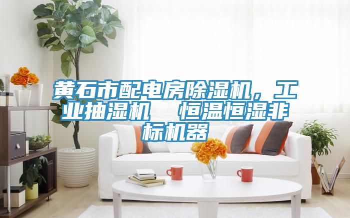 黃石市配電房除濕機(jī)，工業(yè)抽濕機(jī)  恒溫恒濕非標(biāo)機(jī)器