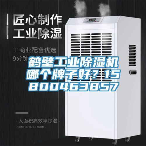 鶴壁工業(yè)除濕機(jī)哪個(gè)牌子好？15800463857